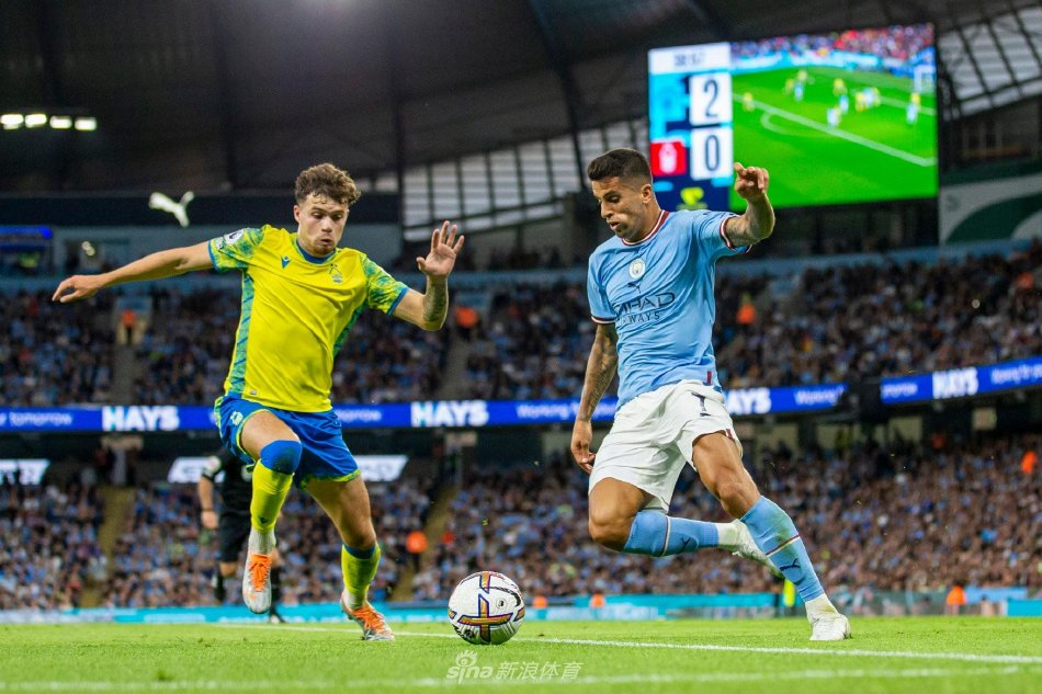 失的现状 失的现状