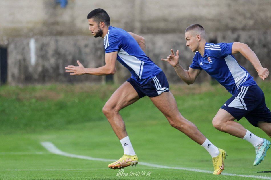 命的双重体 命的双重体